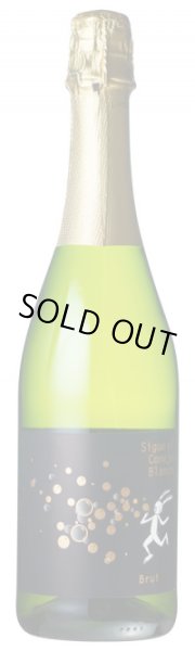 画像2: 《スパークリングワイン》シゲ アル コネホ ブランコ ブルット 750ml (2)