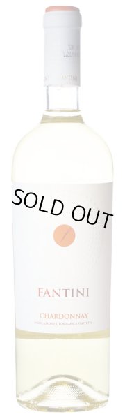 画像2: ファンティーニ　シャルドネ 750ml (2)