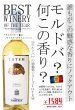 画像1: 《白ワイン》トテム　ヴィオリカ  750ml (1)