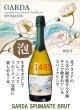 画像1: 《泡ワイン》ガルダ　スプマンテ　ブリュット 750ml (1)