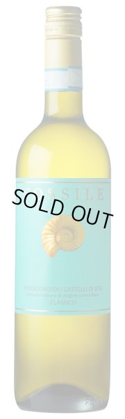 画像2: 《白ワイン》フォッシレ ヴェルディッキオ デイ カステッリ ディ イエージ クラッシコ  750ml (2)